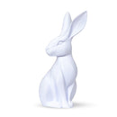 Filamento PETG HF Branco Dental High Fluidity Premium - 1Kg na internet